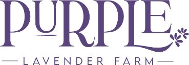 Purple Lavender Farm