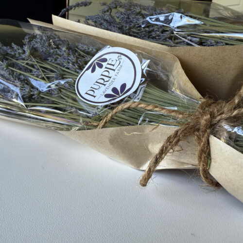 Dried lavender bunches